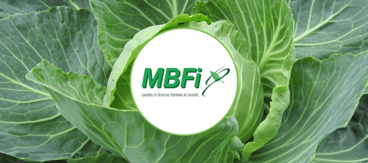 BayAgro Suppliers - MDFi