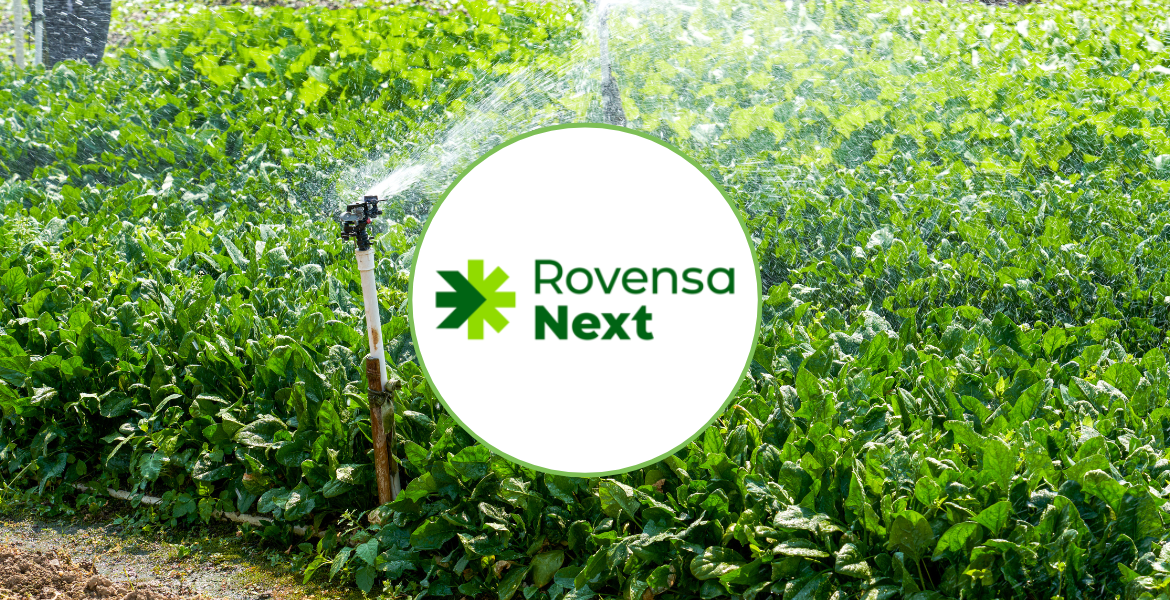 BayAgro Suppliers Rovensa Next