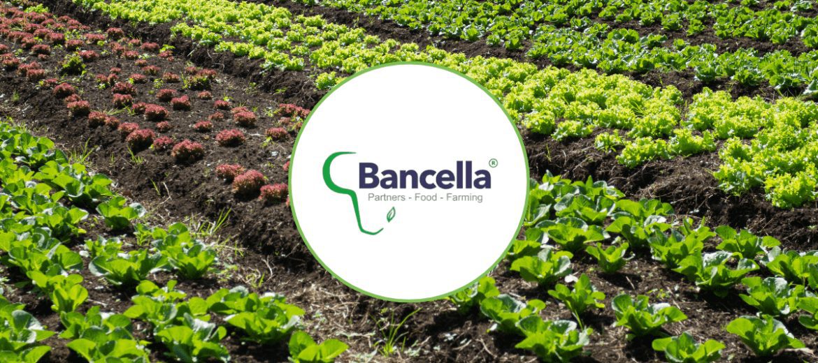 BayAgro Suppliers - Bancella