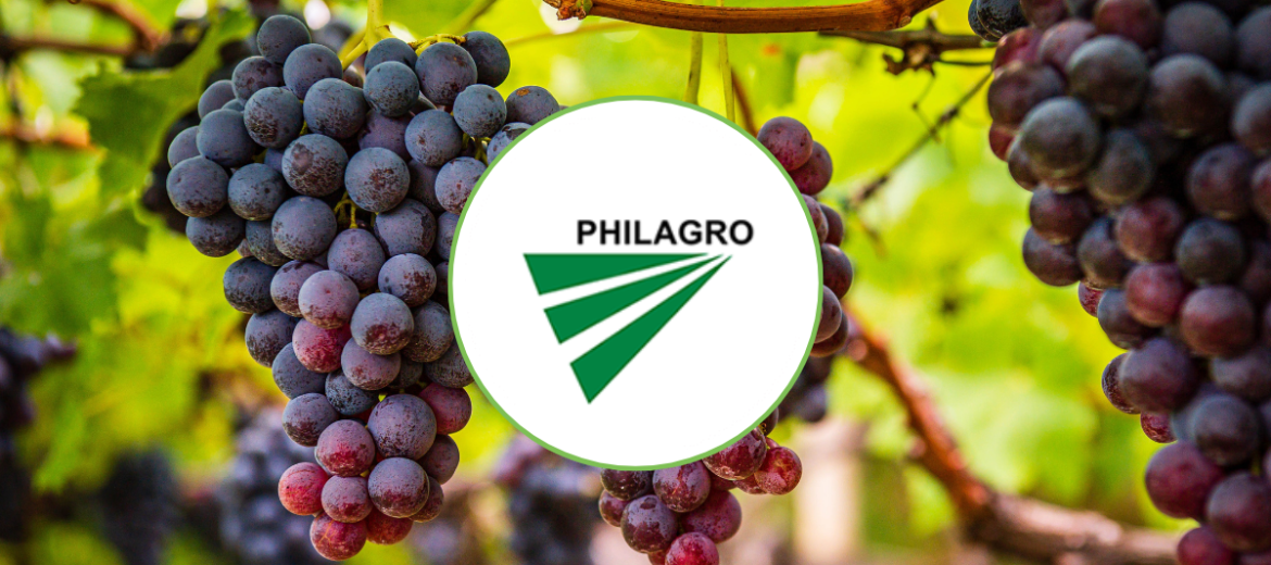 BayAgro Suppliers - PhilAgro